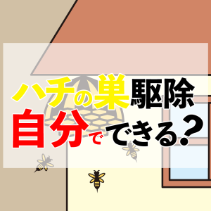自分で出来る？蜂の巣の駆除方法から注意点や業者に頼む際の料金も紹介！