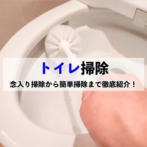 大掃除用から普段の掃除まで！トイレ掃除の方法が簡単丸わかり！
