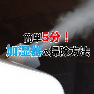 加湿器の掃除は簡単5分！加湿器のタイプ別に掃除方法を紹介！