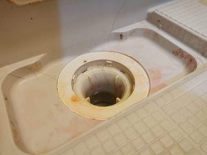 排水口の赤カビ