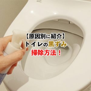トイレの黒ずみを簡単に落とす方法！プロが教える効果的な掃除術