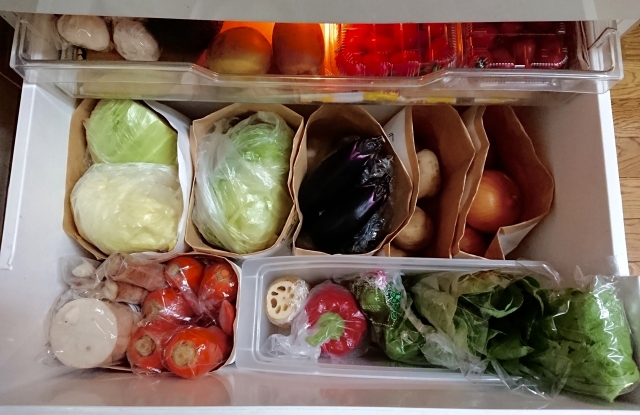 野菜室の野菜たち