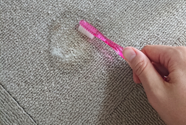 歯ブラシでカーペットのシミを取る