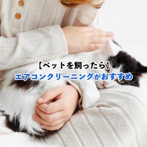 ペットがいてもエアコンクリーニングできますか？→はい、可能です！薬剤の安全性まで解説