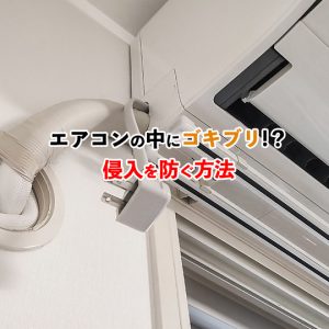【エアコンからゴキブリが？！】駆除と予防の方法を徹底解説
