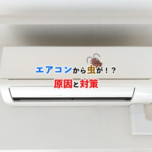 エアコンから虫が出る原因とは？虫の侵入経路と対策を徹底解説！