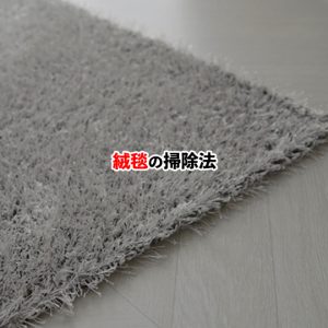 家庭でできる絨毯の掃除とお手入れ方法を紹介！