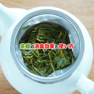 茶殻の再利用術！茶殻の消臭効果で冷蔵庫や靴箱のニオイ対策