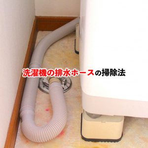 洗濯機の排水ホースを清潔に保つ！掃除のやり方と頻度を解説