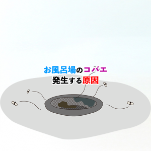 お風呂のコバエはどこからくる？お風呂場のコバエの発生原因と対策