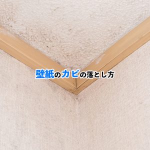 壁紙のカビを徹底除去！家庭でできる簡単クリーニング法と予防法