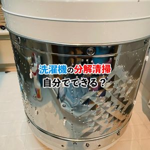 【洗濯機を自分で分解して掃除する方法】詳しい手順や注意点を紹介！