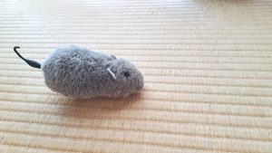 ネズミ