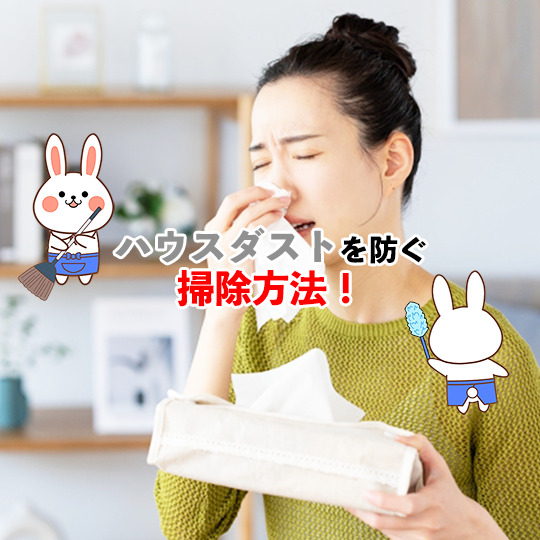 ハウスダスト掃除