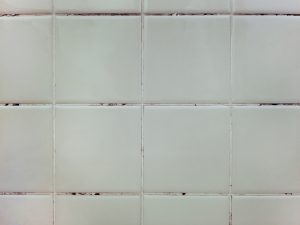 ピンクカビが生えた壁
