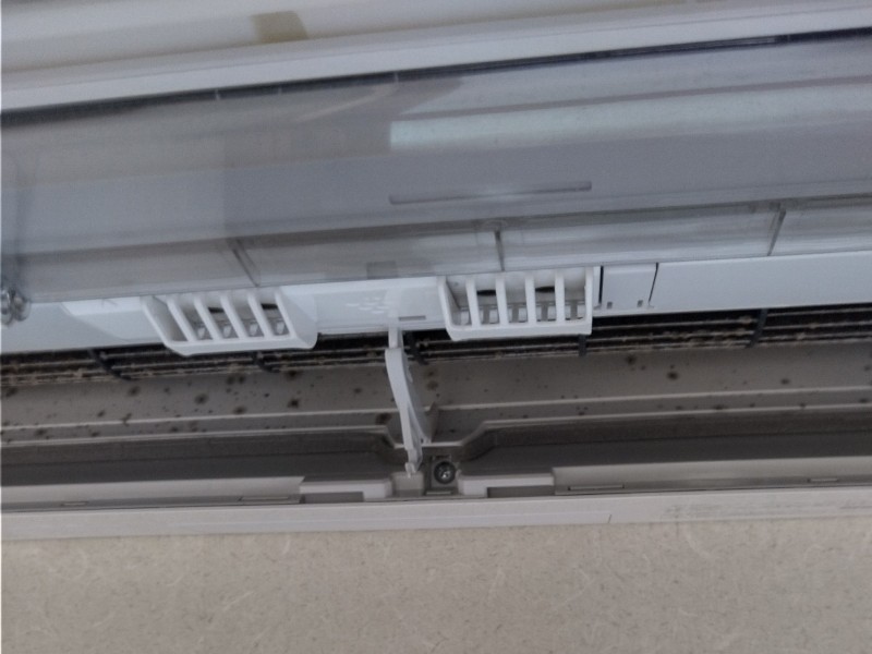 おそうじ機能付きエアコンのカビ