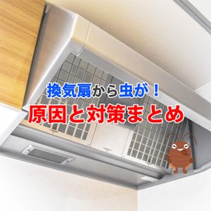 換気扇から虫が侵入！？原因と今すぐできる対策まとめ