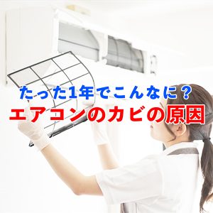 【プロも絶句】たった1年でカビだらけ？エアコンが汚れる意外な理由と対処法