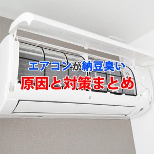 エアコンが納豆臭いのはなぜ？考えられる原因とすぐにできる対策法