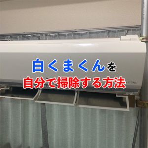 【日立エアコン】白くまくんのお手入れ方法｜自分でできる？プロに任せる？
